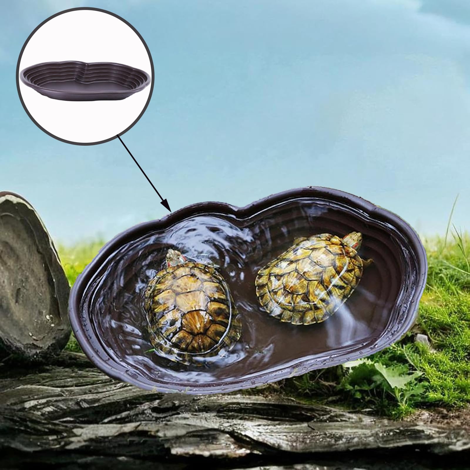 Grande Ciotola da Bagno per Tartarughe, Vasca da Bagno per Tartaruga, Piscina da Bagno per Rettili, Grande Ciotola per Acqua Rettile Adatto per Tartarughe, Rane Cornute e Altri Anfibi e Rettili