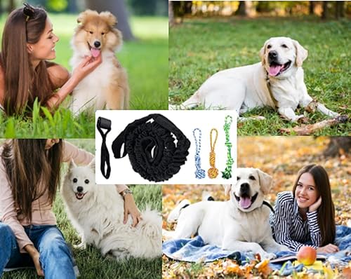 Miniatura 4 de 5 juguetes de cuerda para perros de poste de resorte, juguetes colgantes para perros, para interiores y exteriores, juguetes interactivos de