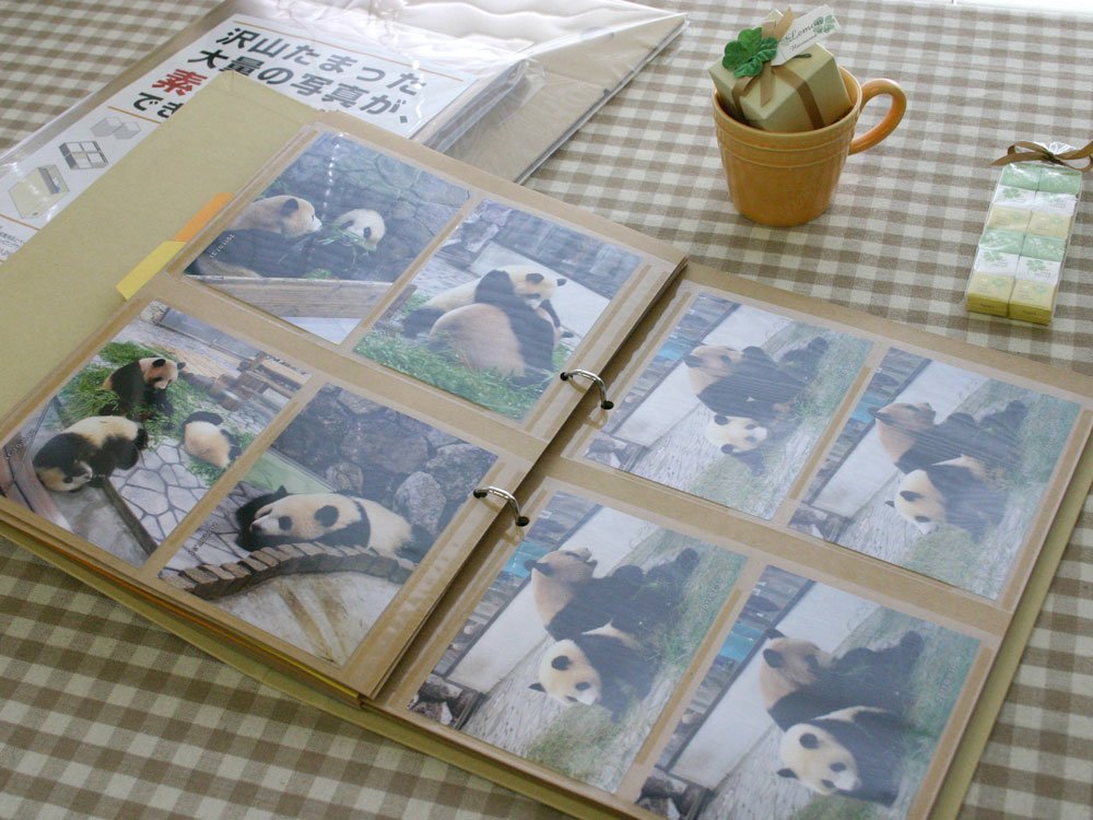 Amazon | ピジョン 大量整理アルバム 480枚収納 L 200016 | アルバム 通販