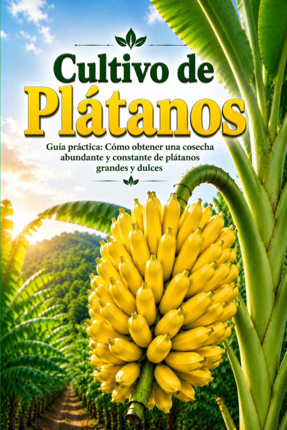 Cultivo de Plátanos: Guía práctica: Cómo obtener una cosecha abundante y constante de plátanos grandes y dulces