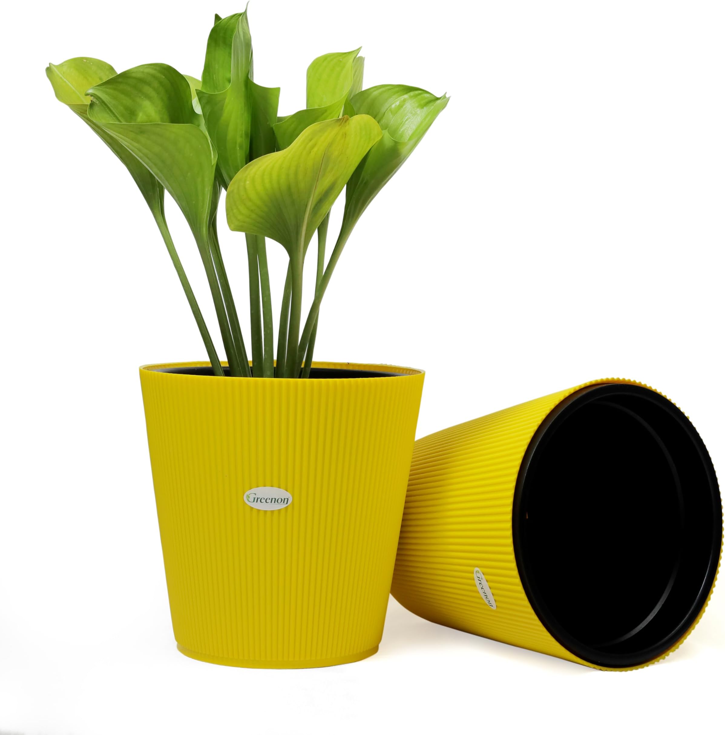 GREENON® 10 Inch Self Watering Plant Pot Set of 2 (4 Pots) | Yellow Outer & Black Inner Planters | Heavy Duty Virgin Plastic | UV Treated Gamla | Ideal for Indoor, Balcony & Home Garden