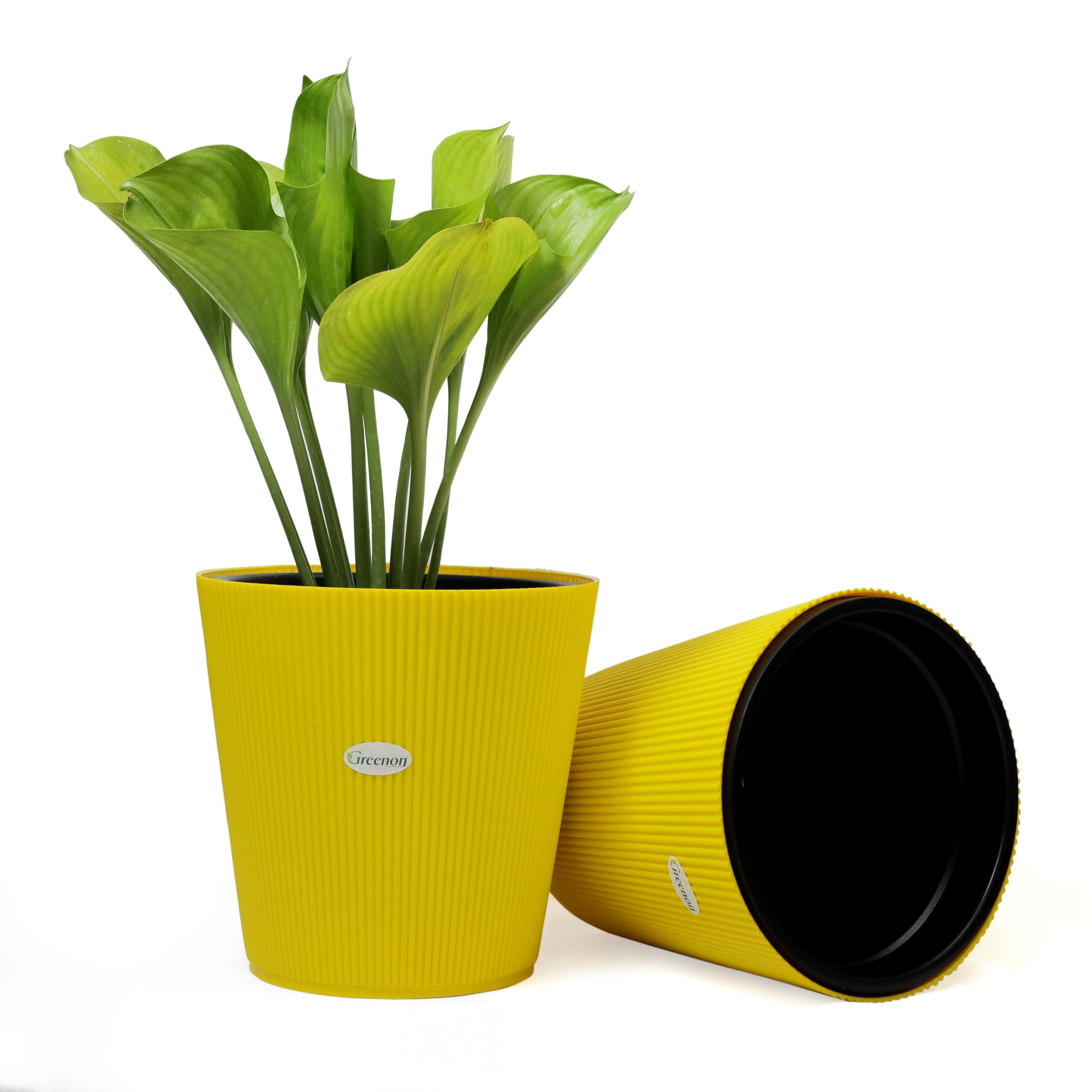 GREENON® 10 Inch Plant Pot Pack of 2 (4 Pots) Self Water | Yellow Outer and Black Inner Plant Container | UnFadable Planter | Virgin Plastic Gamla | Best for Indoor and Balcony