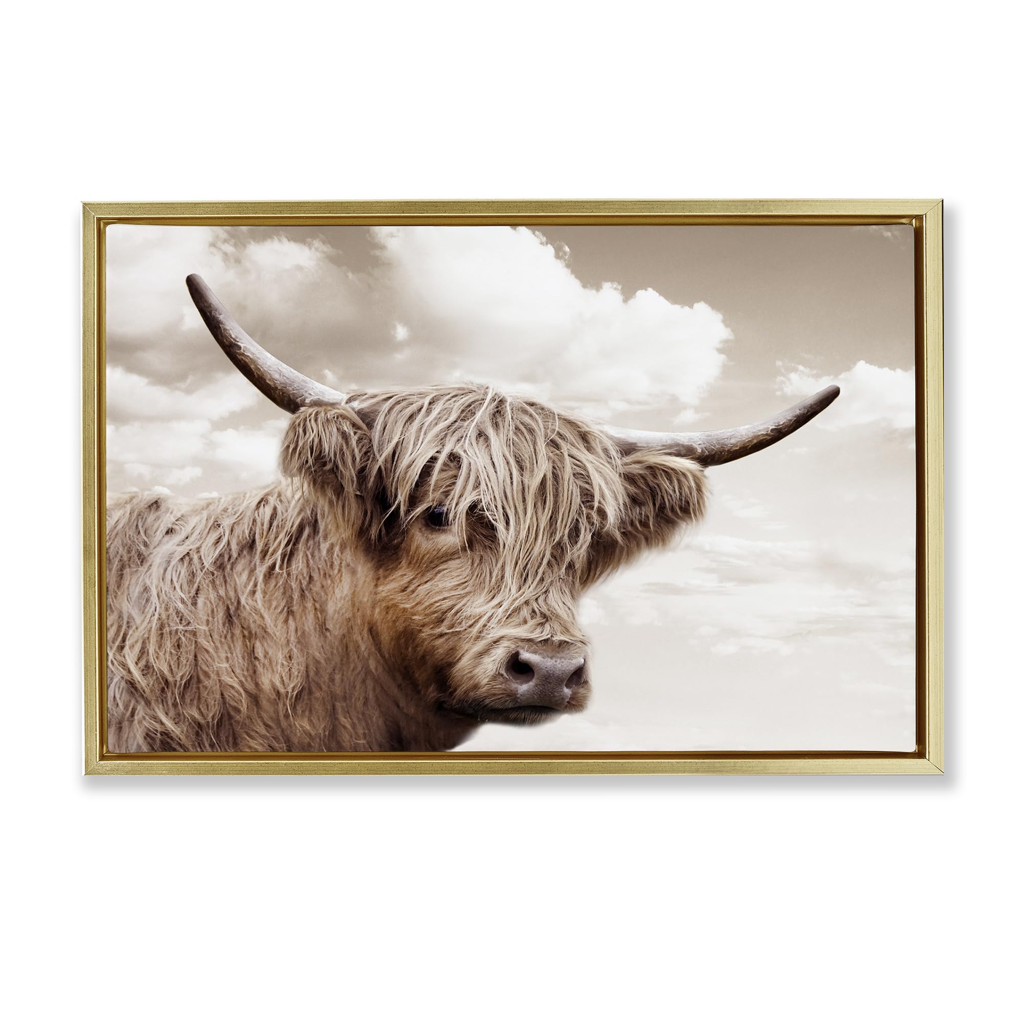 Stupell Industries 'Shaggy Highland Cow & Clouds', Floating Frame Canvas Art, Gold, 31 x 21 Inches, Easy to Hang and Sturdy, Made in USA, by CAD Designs