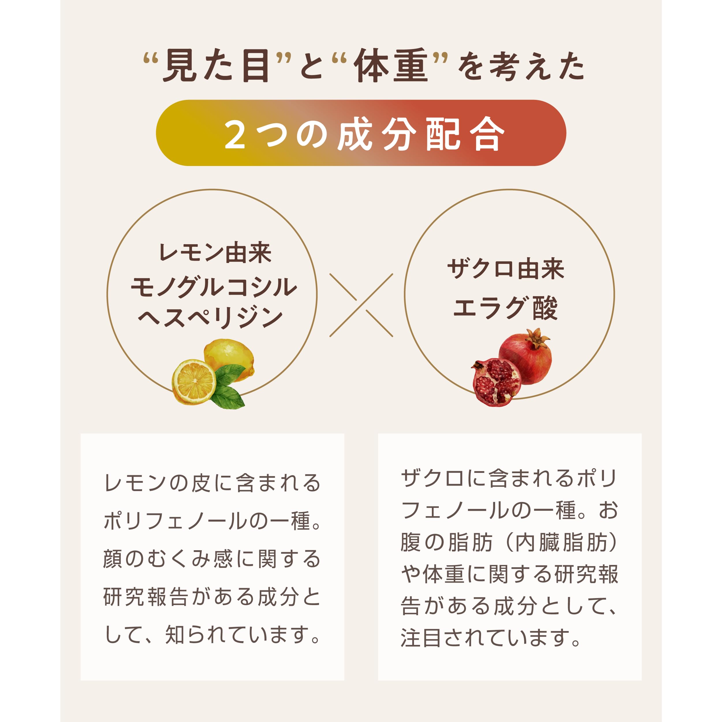Amazon.co.jp: 【 ダイエットコーヒー 】 KOREDAKE スタイルコーヒー