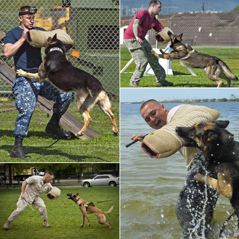 Turkse hondenrassen: 8x Honden uit Turkije [Foto's