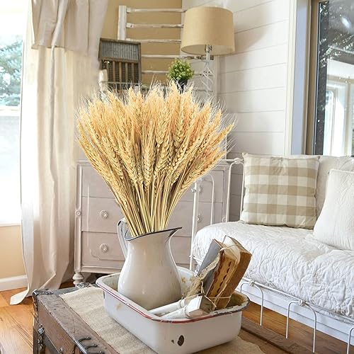 Miniatura 3 de Uieke Tallos de trigo seco de 17.7 pulgadas, 200 tallos de flores secas 100% trigo natural para el hogar, cocina, boda, fiesta, mesa, centro de