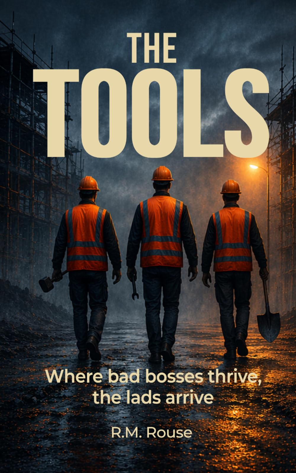 The Tools: A Dark Comedy Crime Thriller of Corruption, Revenge, and Concrete Justice