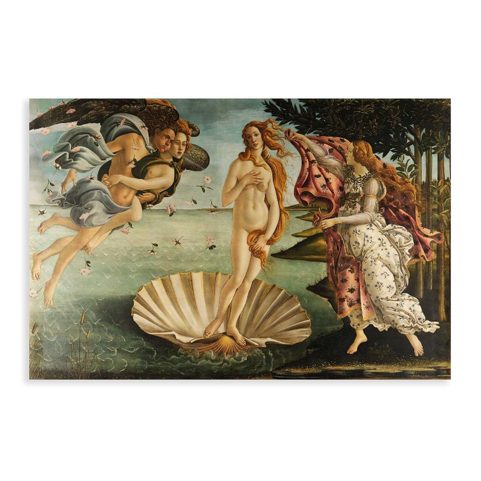 WCYB Renaissance Sandro Botticelli The Birth of Venus by Sandro Botticelli Renaissance Prints Posters Canvas Deco Paintings Wall Art For Office Unframe 16"