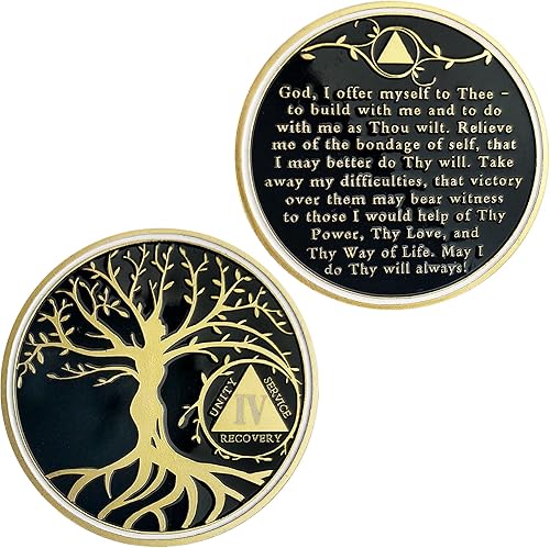 Chip de sobriedad del árbol de la vida de 4 años, chips AA y medallones Moneda de recuperación de sobriedad Regalos de sobriedad para celebrar la