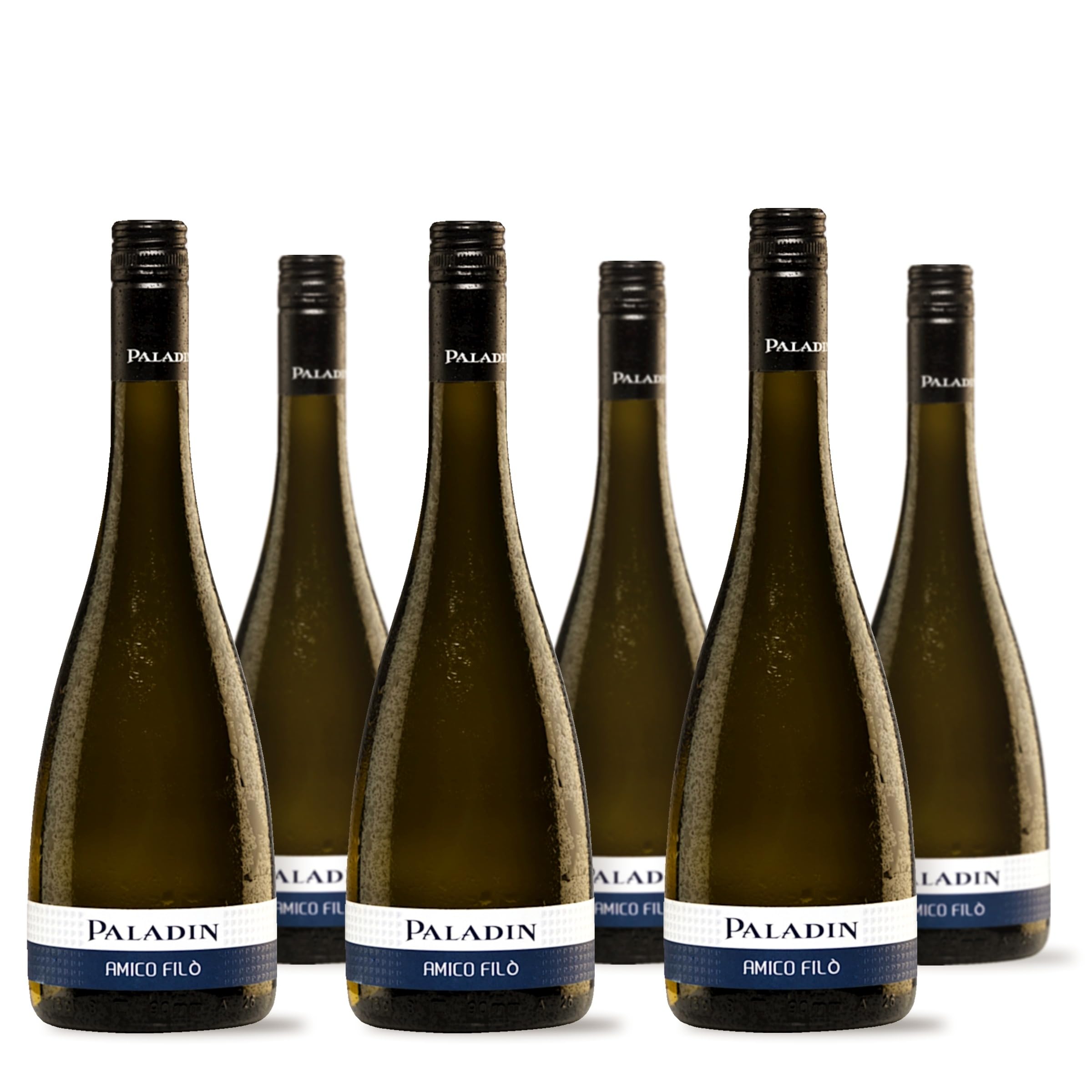 Paladin Amico Filò Vino Bianco Frizzante trocken (6 x 0,75 l) inkl. weine.de-DropStop