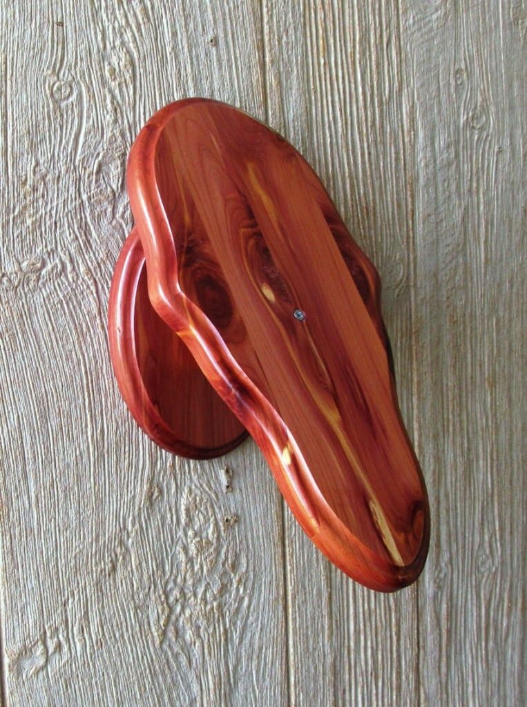 The Taxidermists Woodshop Solid Cedar European Skull Mount Pedestal Plaque