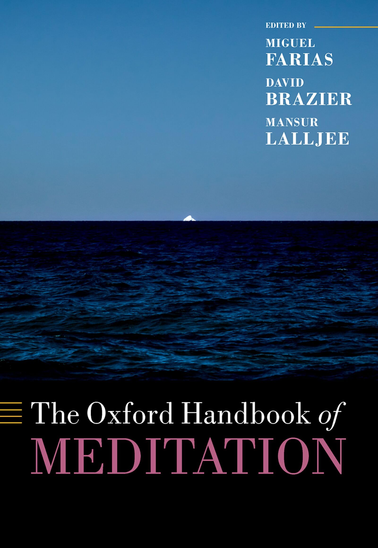 The Oxford Handbook of Meditation (Oxford Library of Psychology)