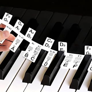 Piano Notes Guide for Beginner,88-Key Full Size Keyboard Stickers Labels with Semitones,Extra-Large Font with Organize Box (Black)