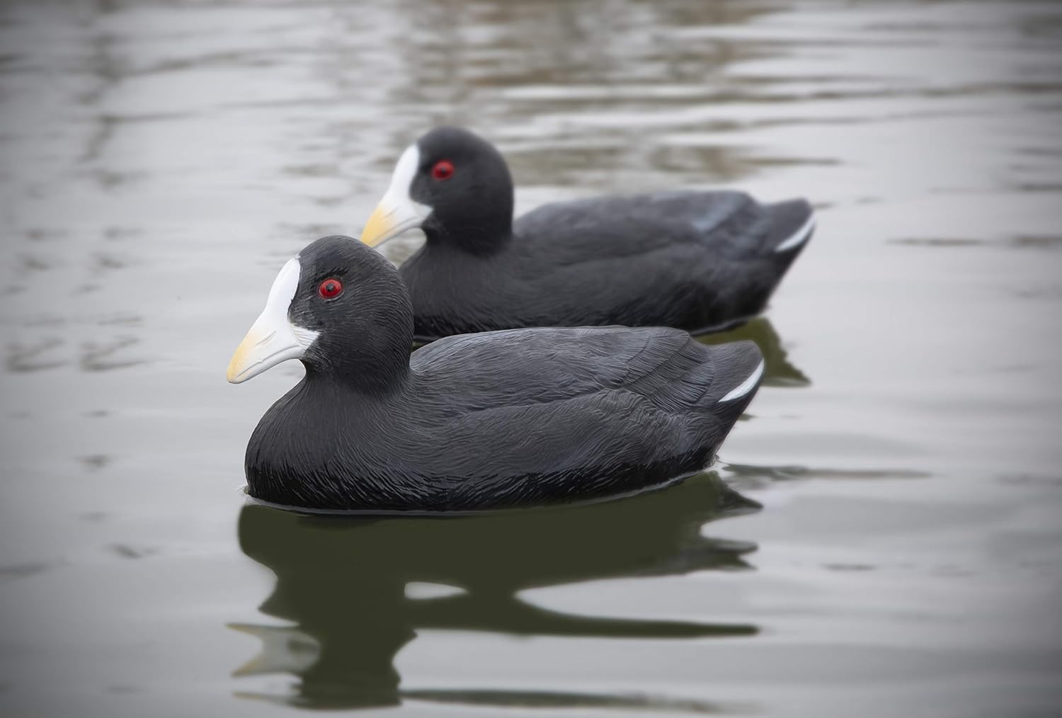 Higdon Outdoors Standard Coot Decoys