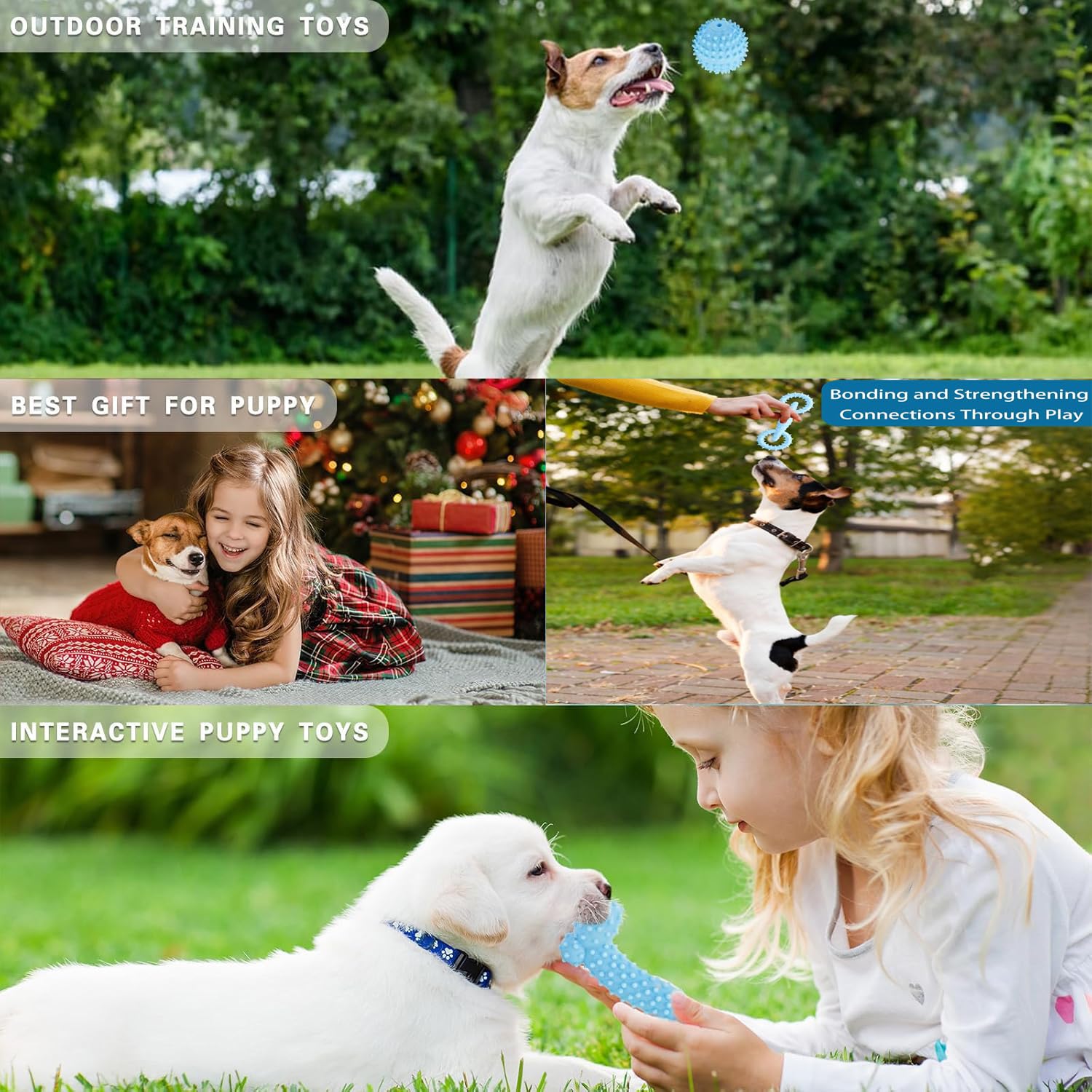 MEISO 5 Pezzi Giochi da Masticare per Cani, Giocattolo da Masticare, Giocattoli per Cani Cigolanti Pulizia dei Denti, Giochi per Cani Indistruttibile, Cani in Gomma per Cani di Piccola e Media Taglia