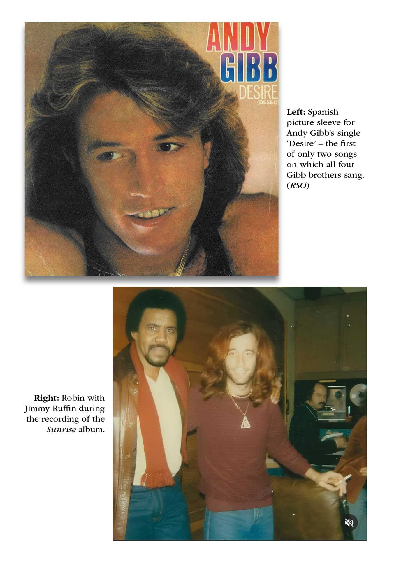 The Bee Gees in the 1980s: Decades