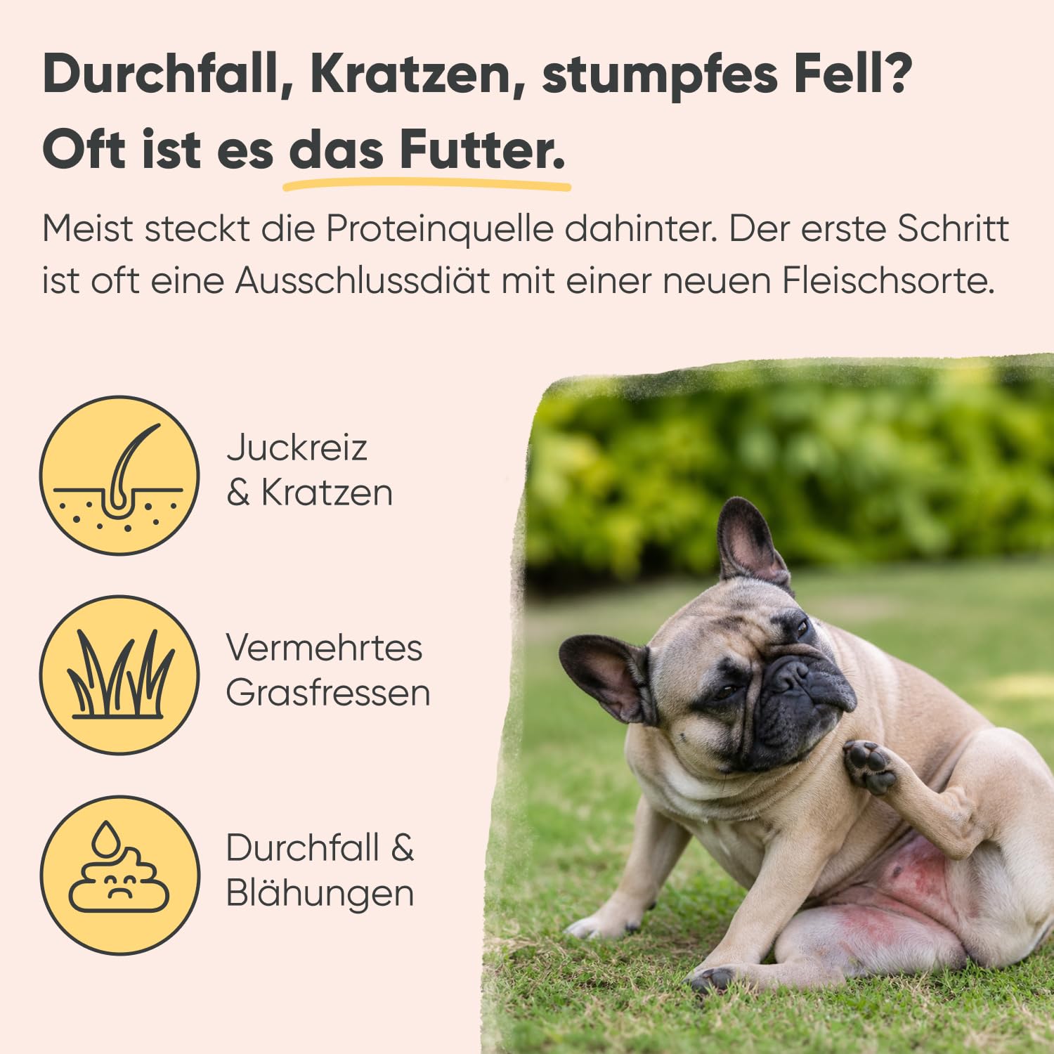 Hundefutter nass mit Lachs & Kartoffel, getreidefrei, 24 x 400 g