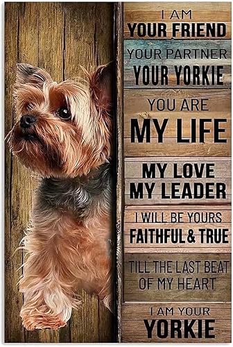 Yorkie Dog - Divertidos letreros de metal con texto en inglés "I Am Your Friend Your Partner, Home Dormitorio, Personas Cueva, Baño, Sala de estar,