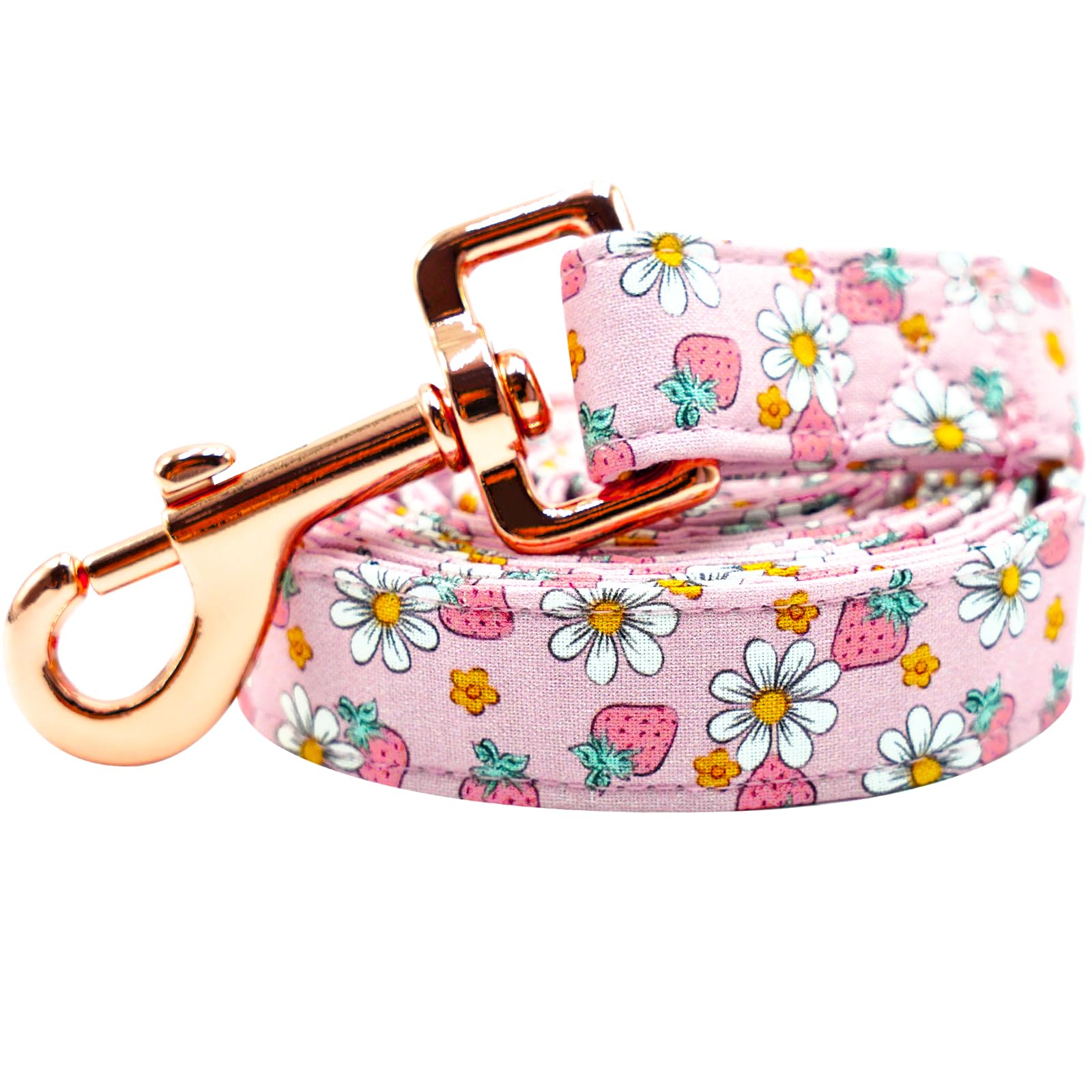 Lionheart glory Pink Floral Strawberries Print Dog Leash - Medium, 1"W x 60"L, Durable Buckle Leash for Small, Medium & Large Dogs