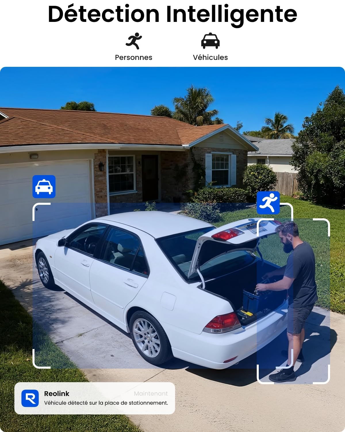 Reolink Kit Caméra Surveillance 2X 360° Pan&Tilt Caméra Solaire sans Fil 2K | Détection IA, Vision Nocturne, Stockage Local sans Abonnement, Jusqu'à 1 To, Home Hub Mini+Argus PT Lite+Panneau Solaire