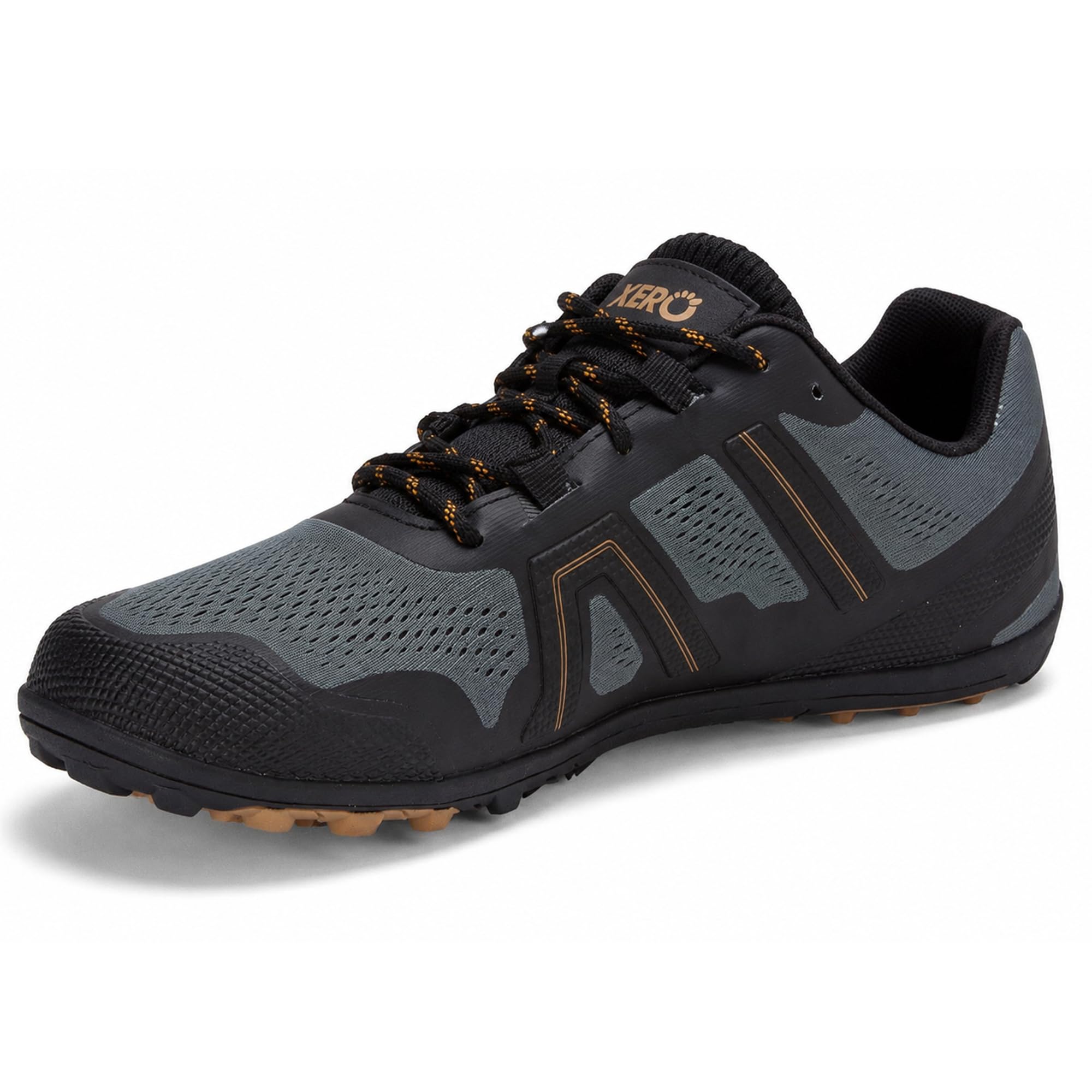 Xero Mesa Trail II