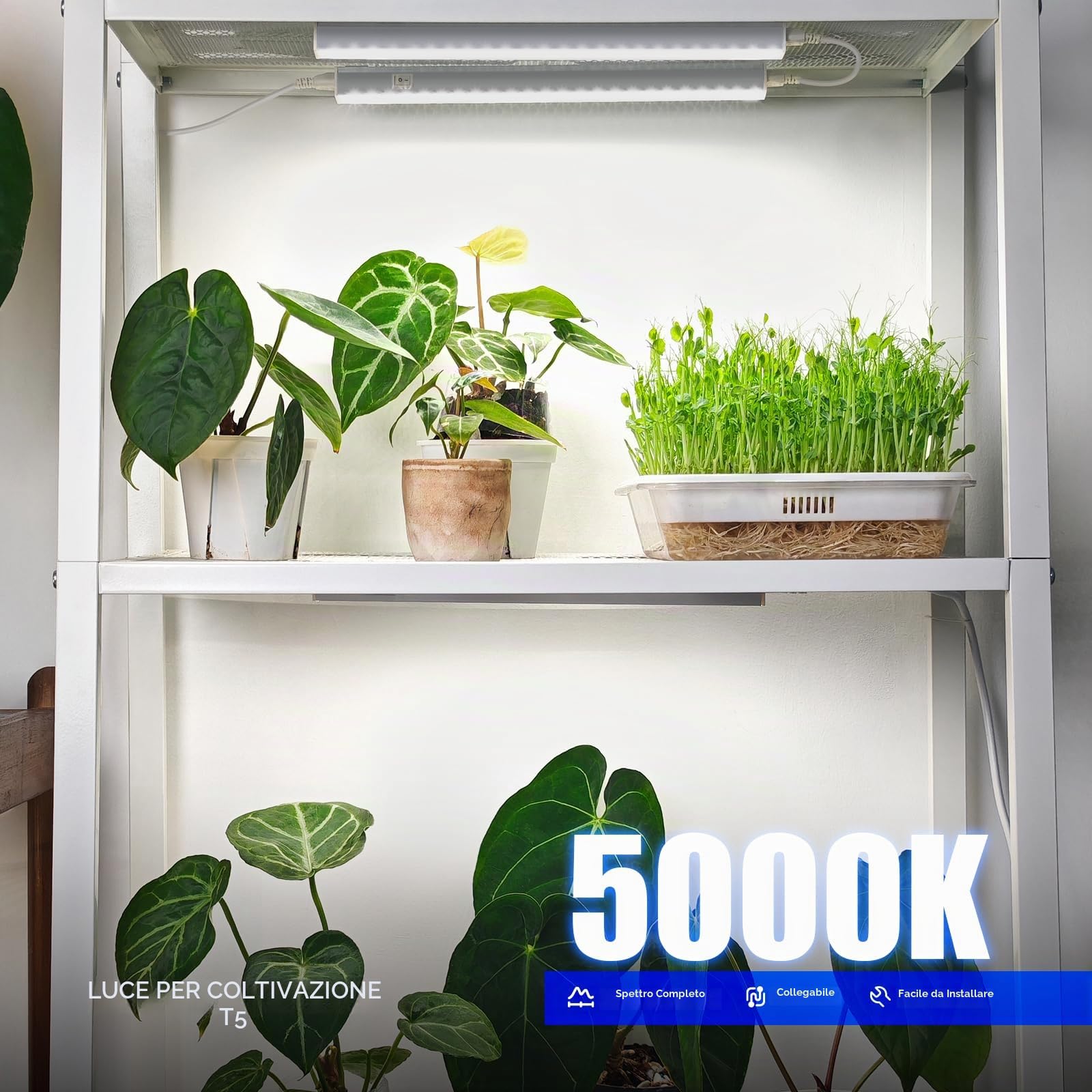 Barrina Lampada T5 per Crescita, 5000K, 29 cm, Luce Solare a Spettro Completo, Lampada per Piante Incatenabile, Barra di Luce LED per la Crescita con Interruttore, Spina e Gioco, Confezione da 4