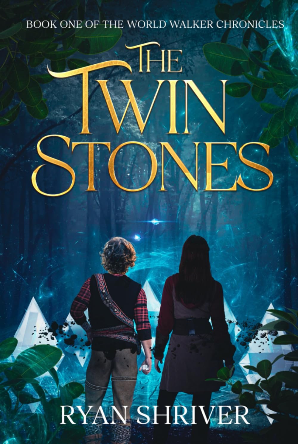 The Twin Stones: Book One of the World Walkers Chronicles