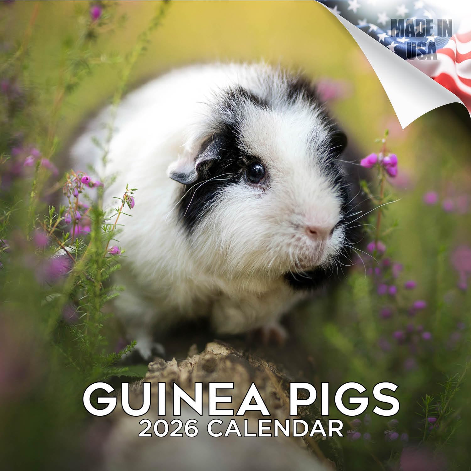 2026 Guinea Pigs Calendar - Cute Animal Monthly Wall Calendar, 16 Month 12x24 Wildlife Planner, Thick No-Bleed Paper, Large Grid, Giftable Animal Calendar for Teachers, Home, Office, Made in USA