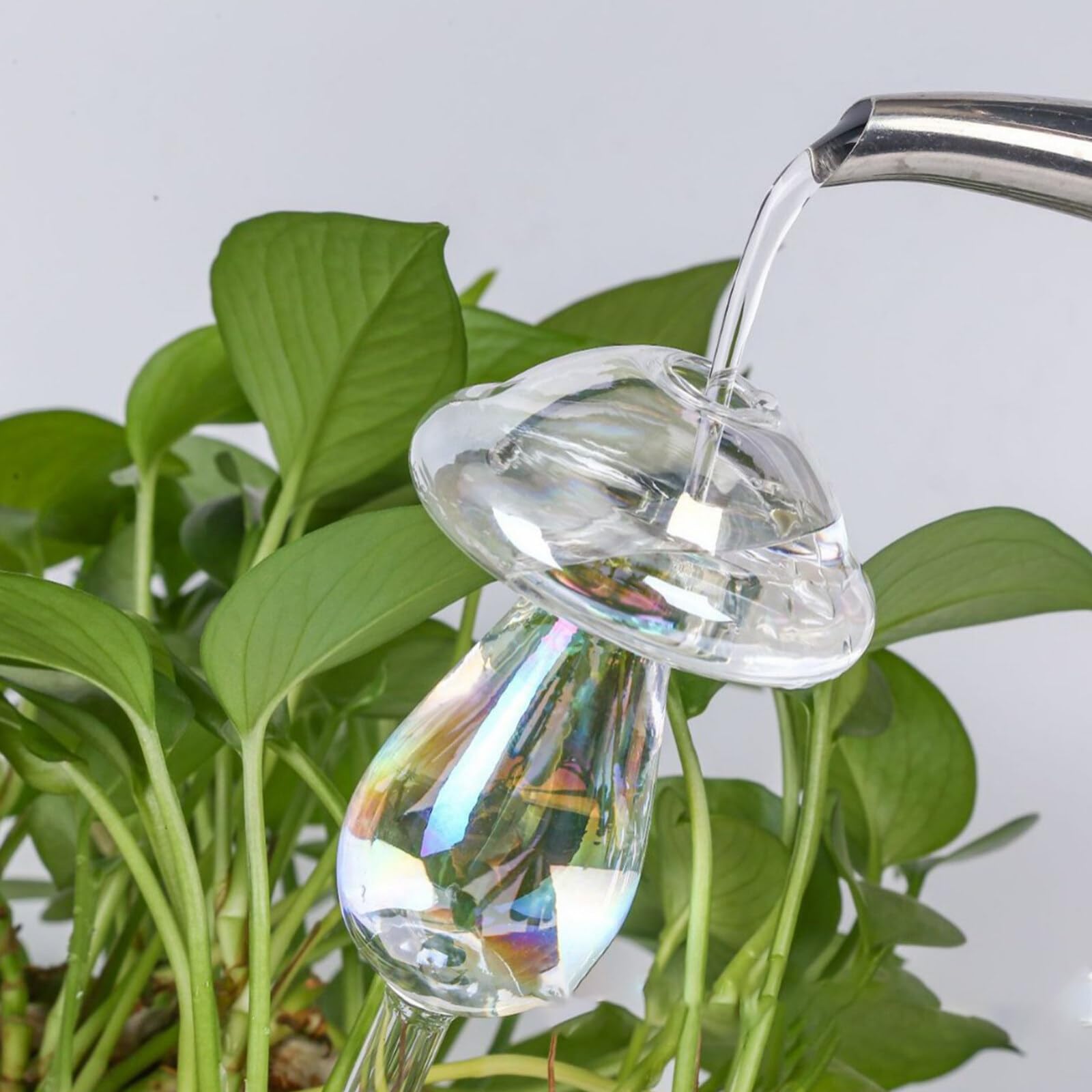 Plant Watering Globes Colorful Mushroom Shape Plant Self Watering Spikes Hand Blown Clear Glass Plant Water Bulbs Mushroom Plant waterer Plant Watering Devices for Indoor & Outdoor (4 Mushrooms) - Image 4