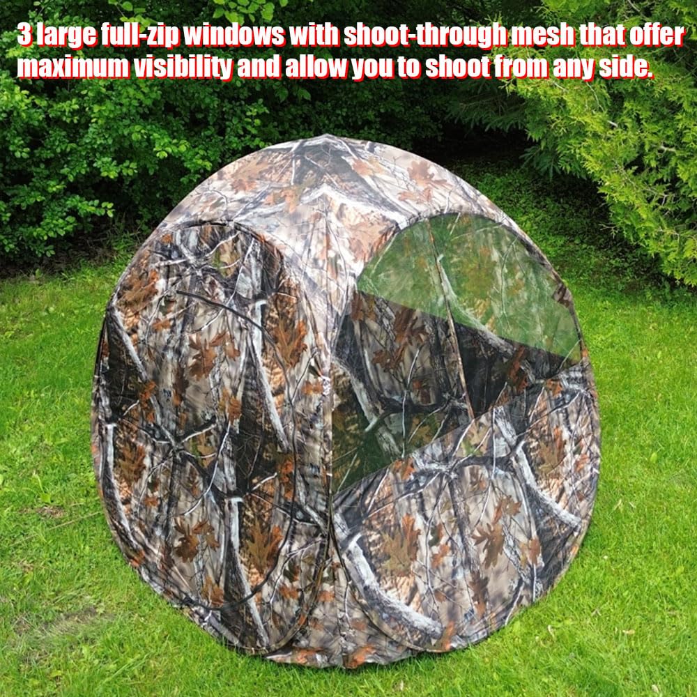 https://m.media-amazon.com/images/I/71y8AqbV1NL.jpg