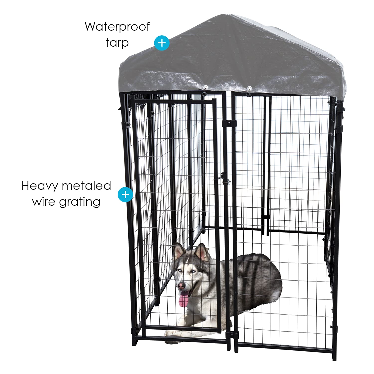 Buy Dog Kennel Outdoor, Outside Kennels, Large Wire Crate, 4x8x6 Ft