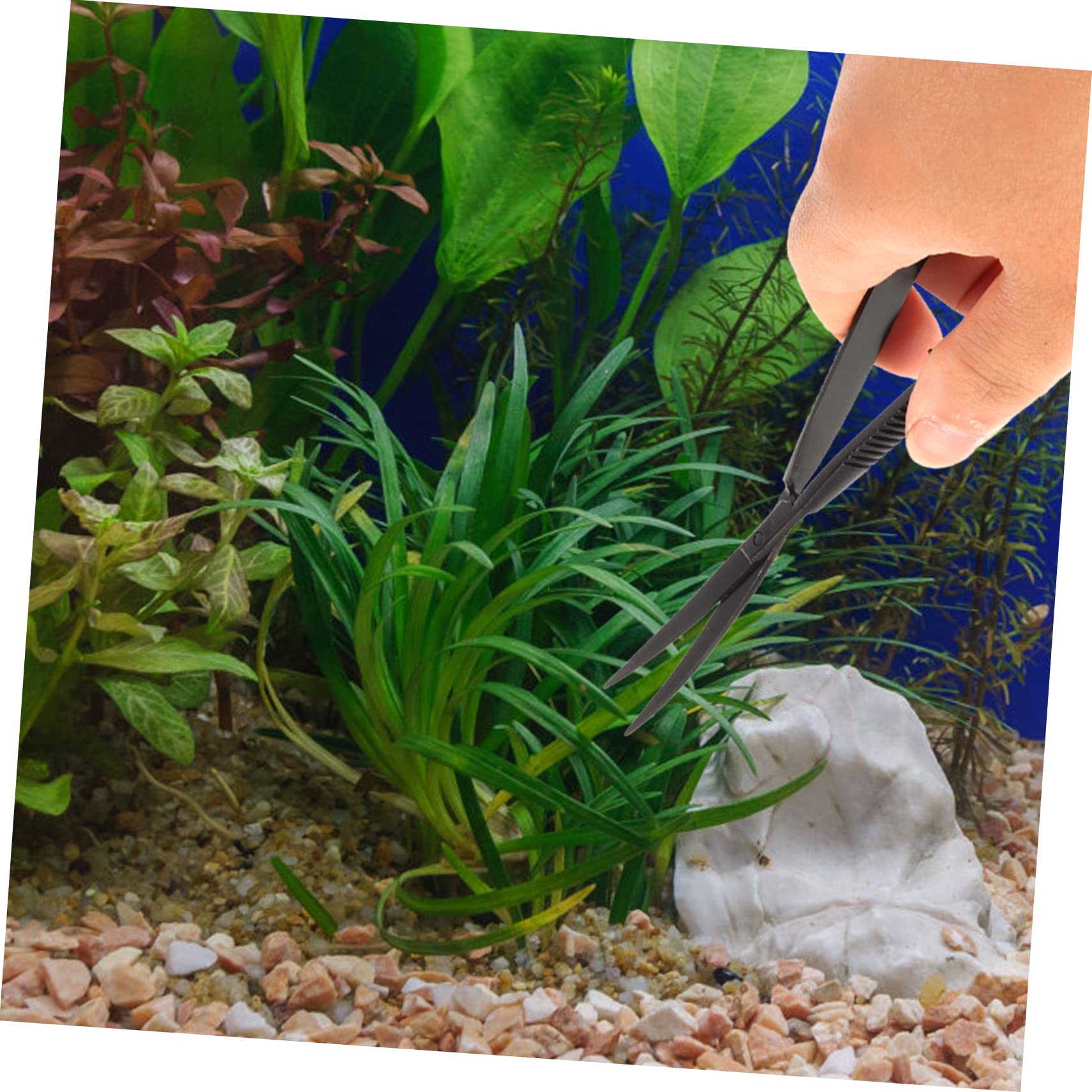 Happyyami 3stücke Edelstahl Aquarium Pflanzen Trimmer Praktische Wasserpflanzen Schere Für Präzises Trimmen Von Aquarienpflanzen Einfach Der Handhabung Für Aquascaping Und Pflege Von