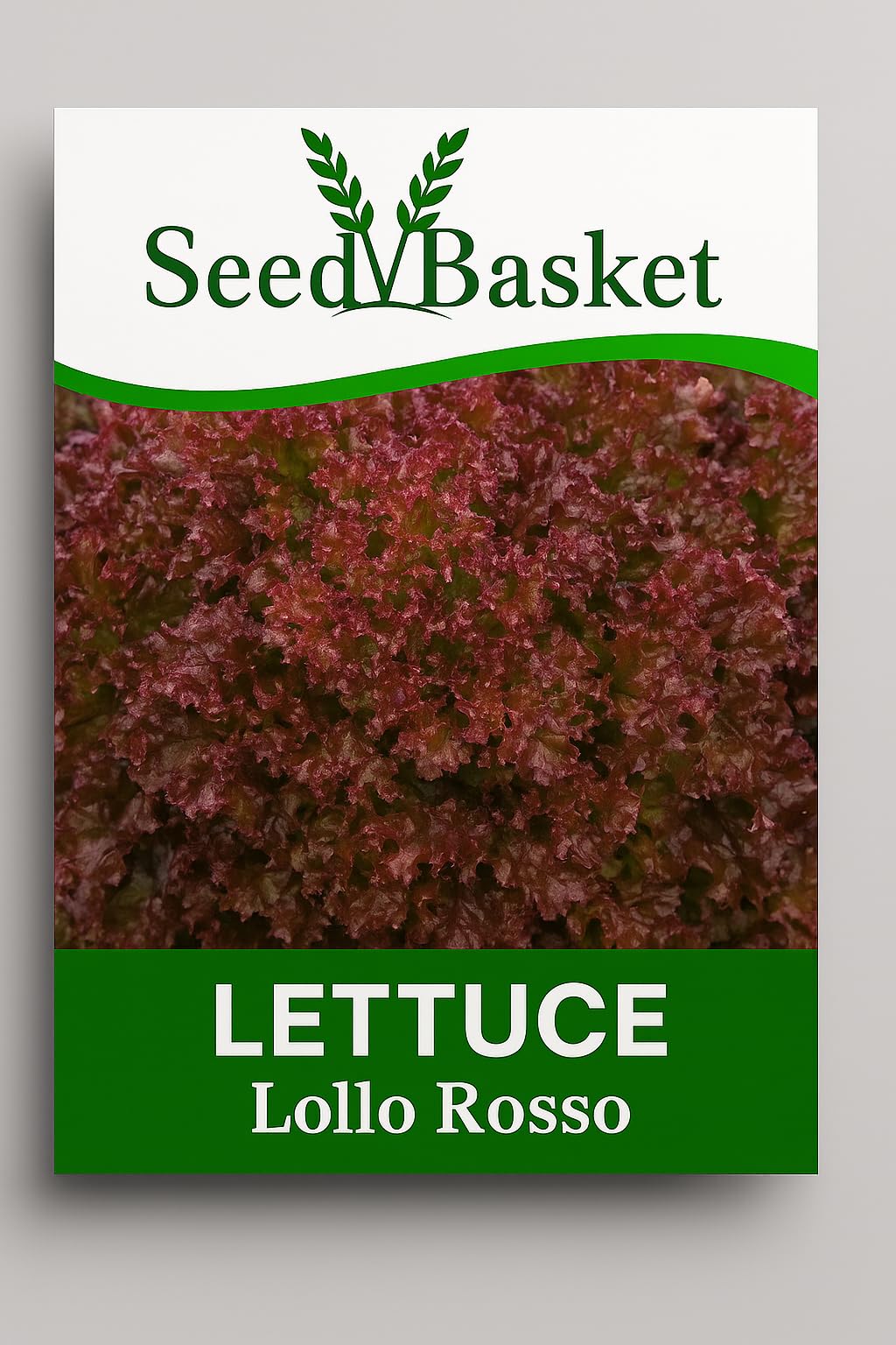 SeedBasket Lettuce Seeds Pack of 2 – Green & Red Varieties | Fresh Garden Leafy Vegetable Seeds for Home Gardening, Terrace, Balcony & Kitchen Garden | 400 Seeds - Image 2 thumbnail