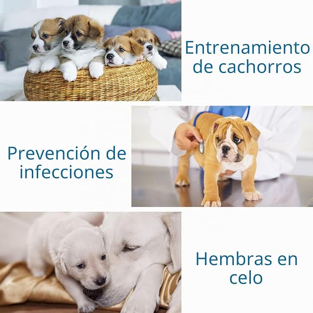 Foto 7 de 8 de Nobleza 36x Pañales para Perros Desechables Hembra Cachorro Entrenamiento Pañales Súper Absorbente Envolturas…