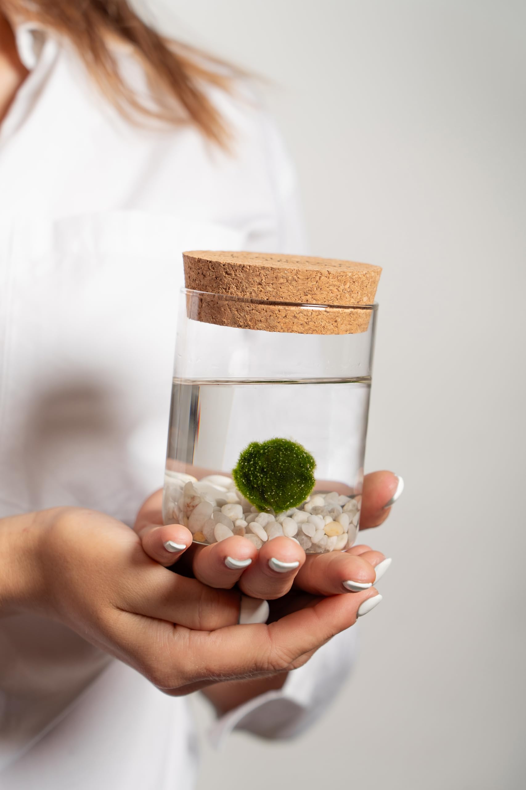 KAKI La Felicità è Nelle Piccole Cose Marimo Coppia Originale in Vaso di Vetro con Tappo in Sughero, Artigianale, Fondale Bianco, Diametro 8cm, Altezza 11cm, Made in Italy