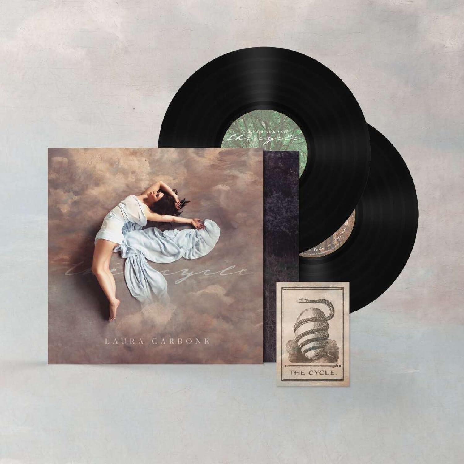 THE CYCLE [VINYL]