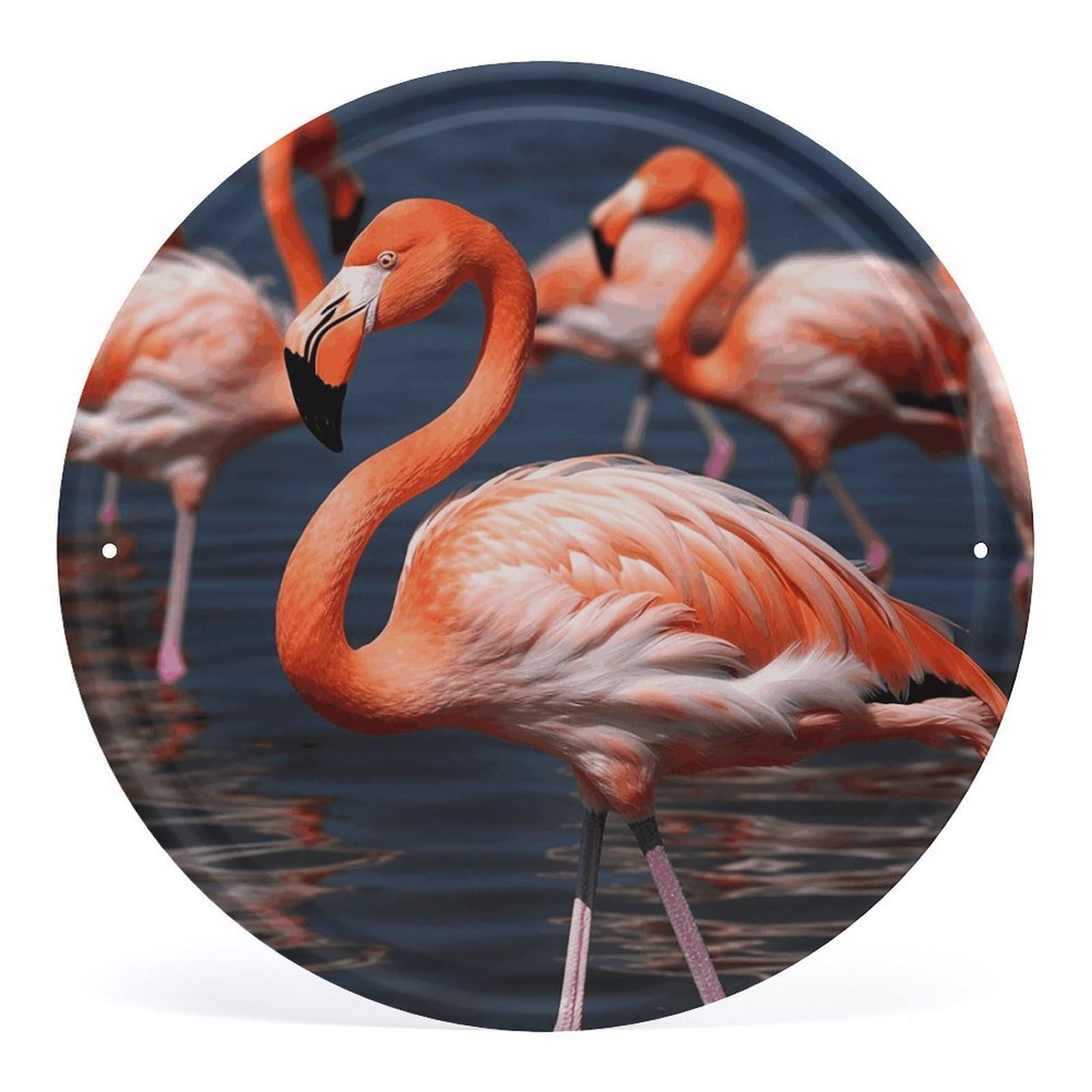 Fodpand Style Flamingo3 Round Wall Art Hanging Decorations, Wall Decor Modern Minimalist Artwork, Tin Sign Hanging Picture For Living Room, Bedroom, Office, Hallway, 11.8X11.8 Inch