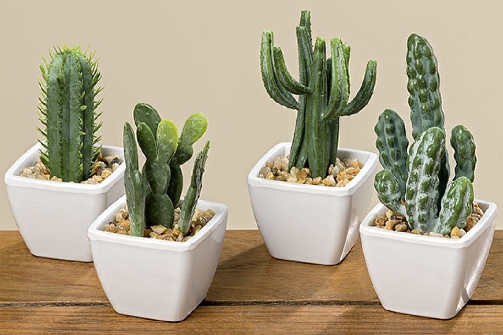 BOLTZE Kaktus im Topf 4er-Set Hca.8cm. Kunststoff Farbmix : Amazon.de:  Kche, Haushalt & Wohnen
