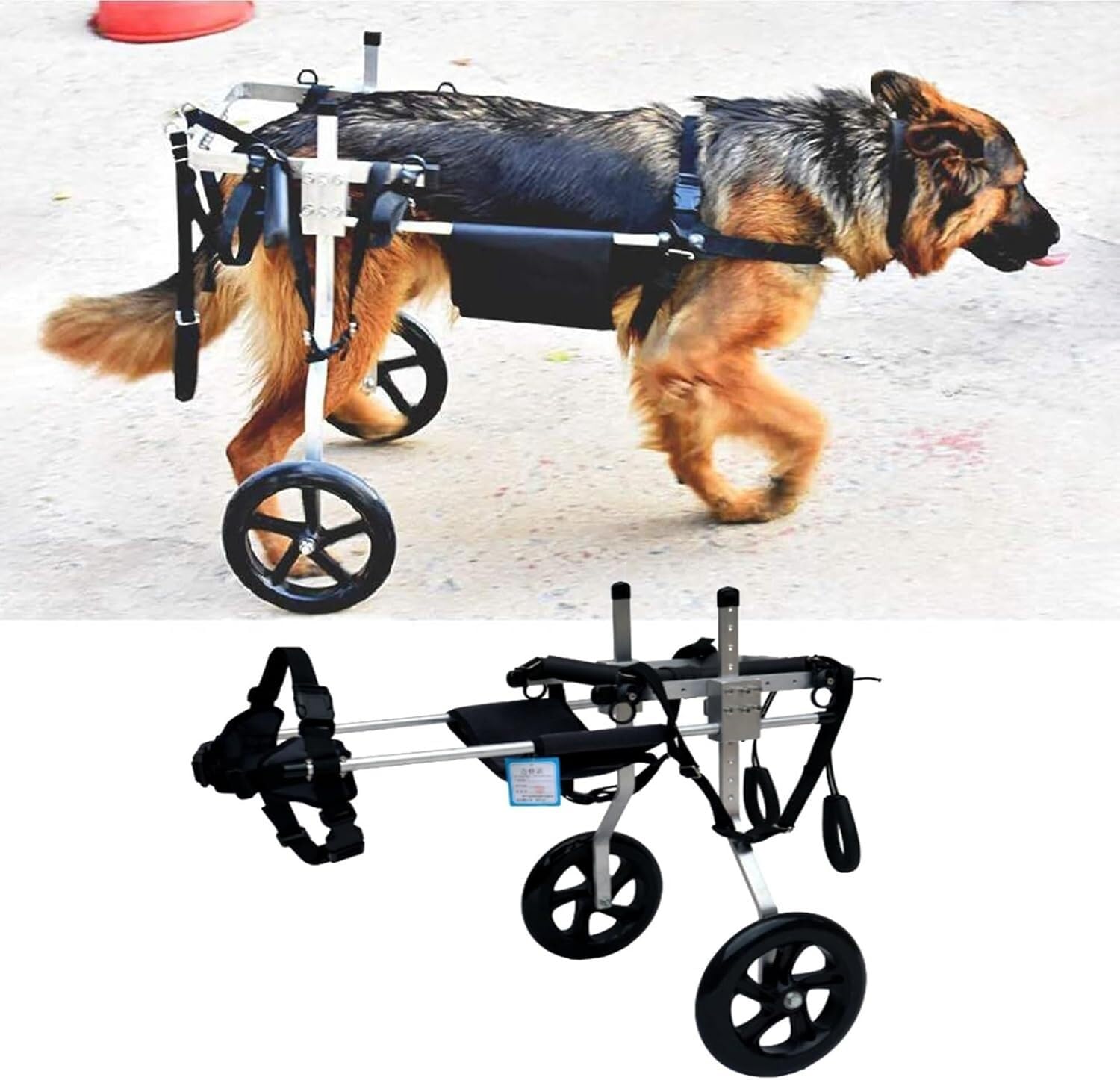 Fauteuil roulant réglable pour chien | Offrez une seconde vie à votre ami