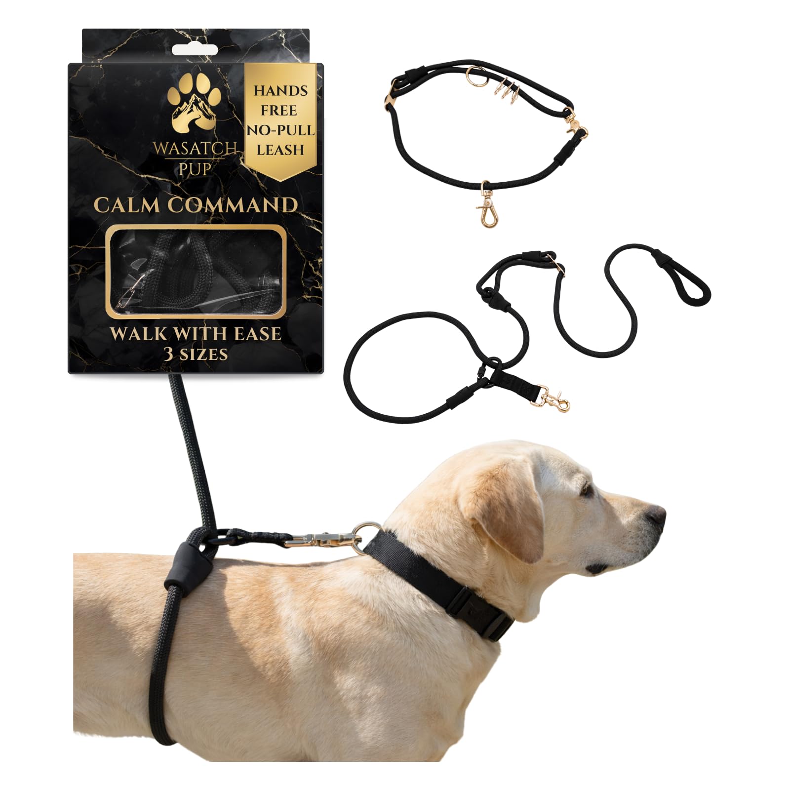 Laisse mains libres anti-traction pour chien | Laisse de dressage durable et réglable pour chiens | Calm Command Laisse d'activités de plein air pour races de style de vie d'animaux actifs