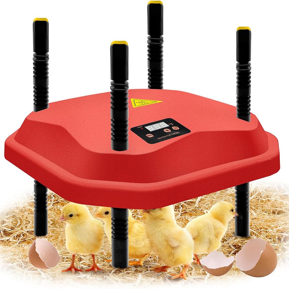 Piastra Riscaldante Per Pulcini GAESHOW 25x25 Cm – Termostato Regolabile 38-52°C, Altezza Regolabile, Per 15 Pulcini, Anatroccoli E Quaglie