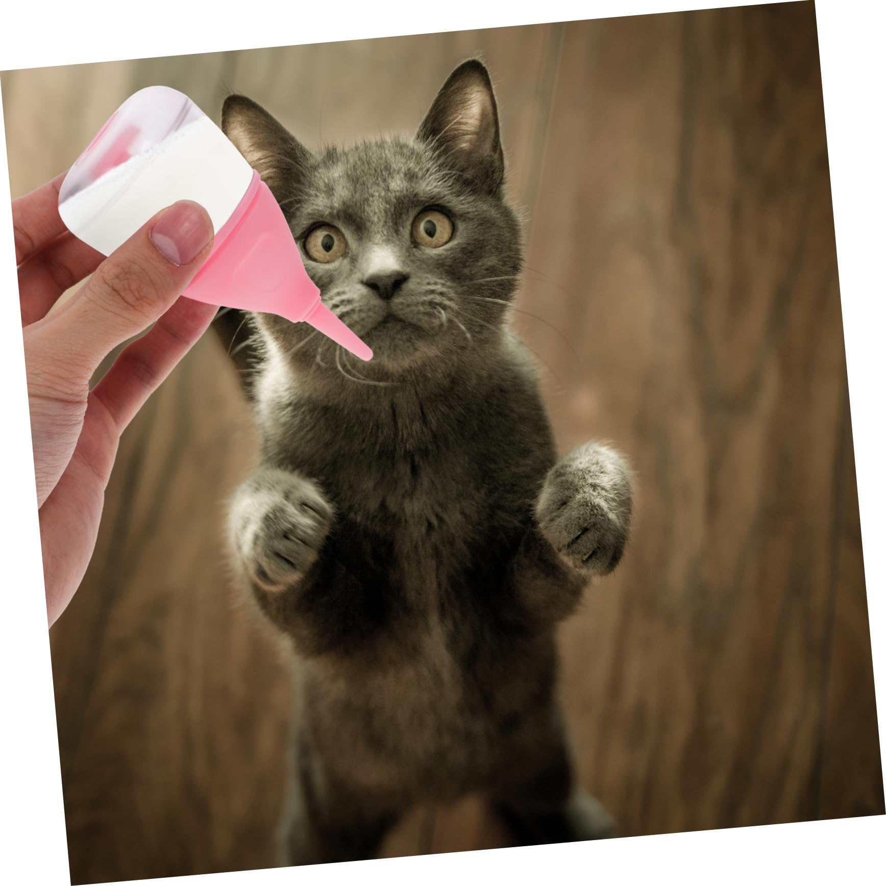 SUPVOX Pet Bottle Set Small Cat Milk Bottle Reusable Nursing Bottle for Household Pets Lightweight Portable Feeding Tool