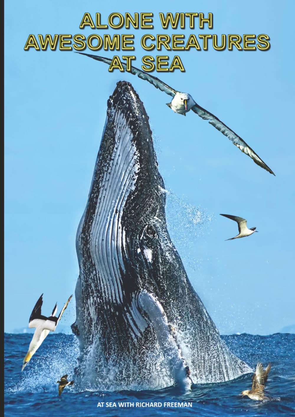 Alone with Awesome Creatures at Sea.