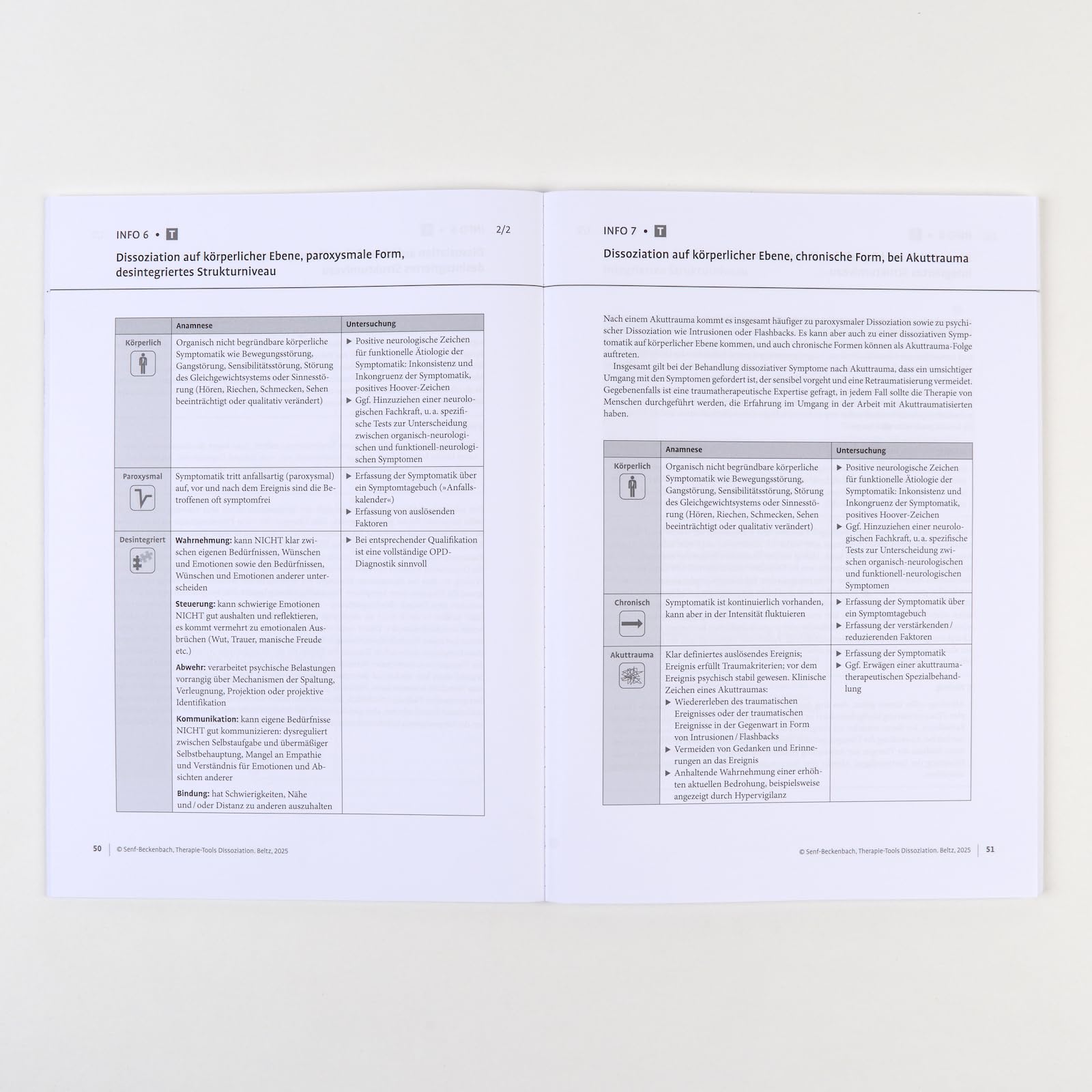 Therapie-Tools Dissoziation: Mit Online-Material (Beltz Therapie-Tools)