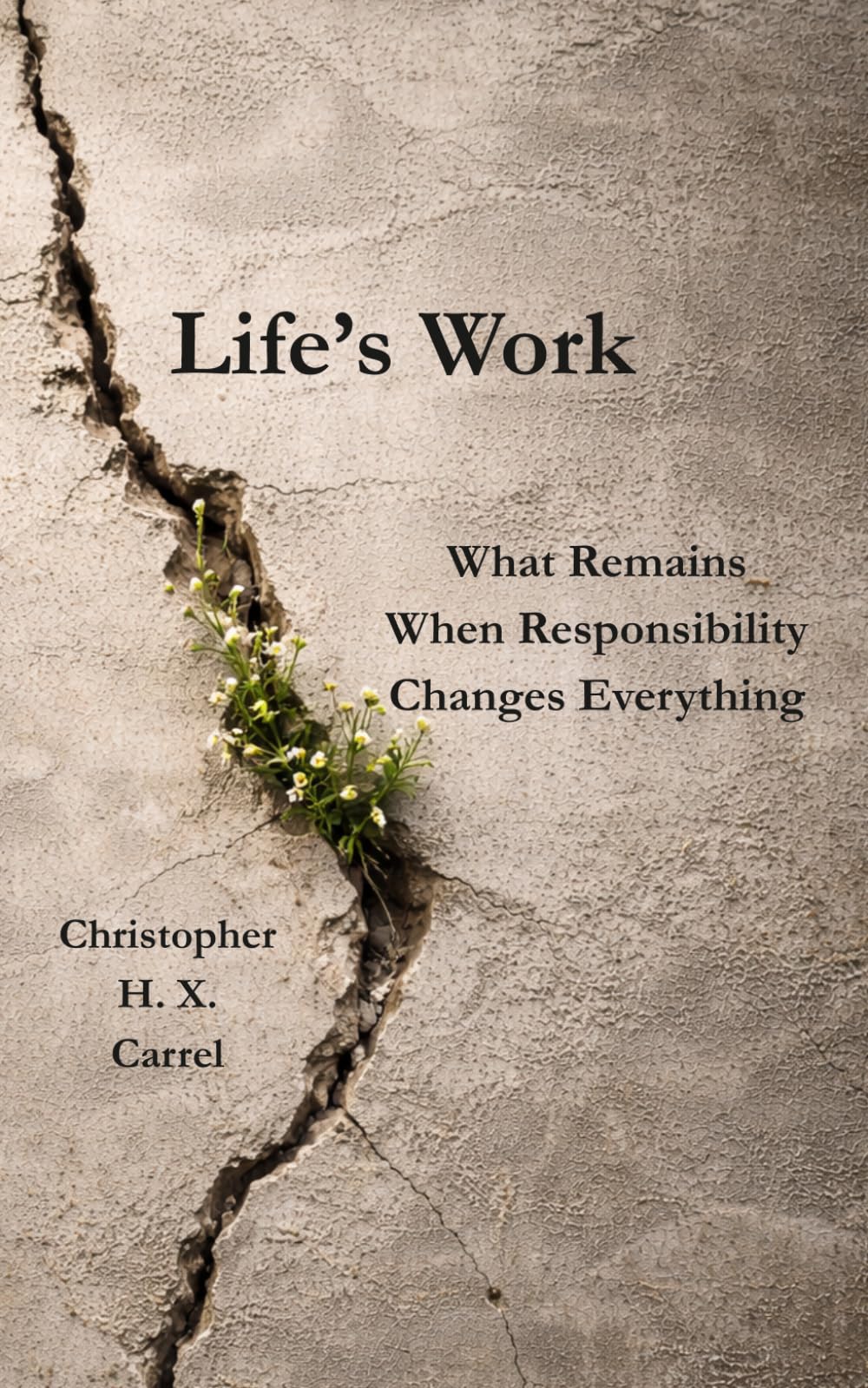 Life’s Work: What Remains When Responsibility Changes Everything