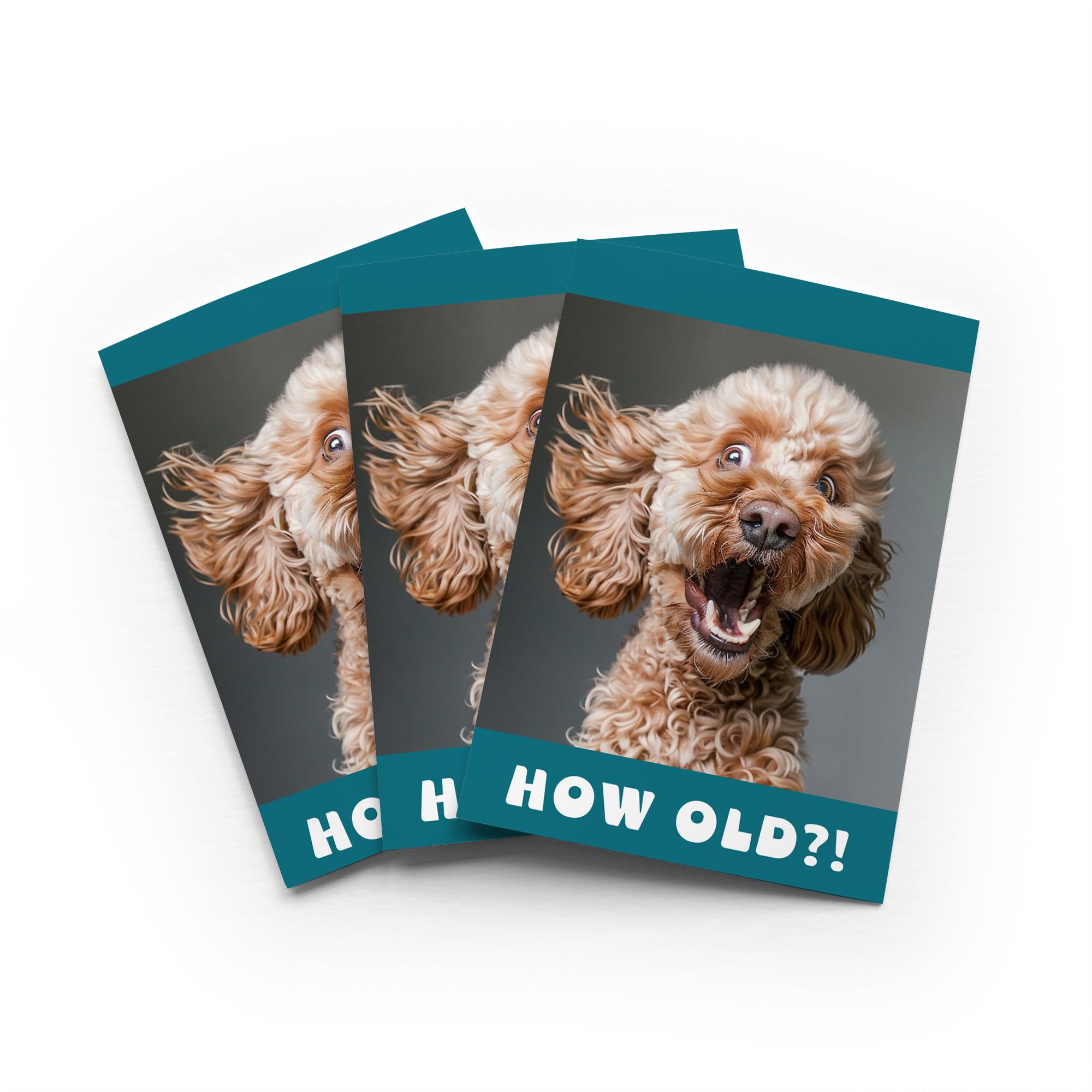 Funny Cockapoo Birthday Card How Old Joke Set of 3 Greeting Cards Blank Inside 5x7 Inch 13x18 cm