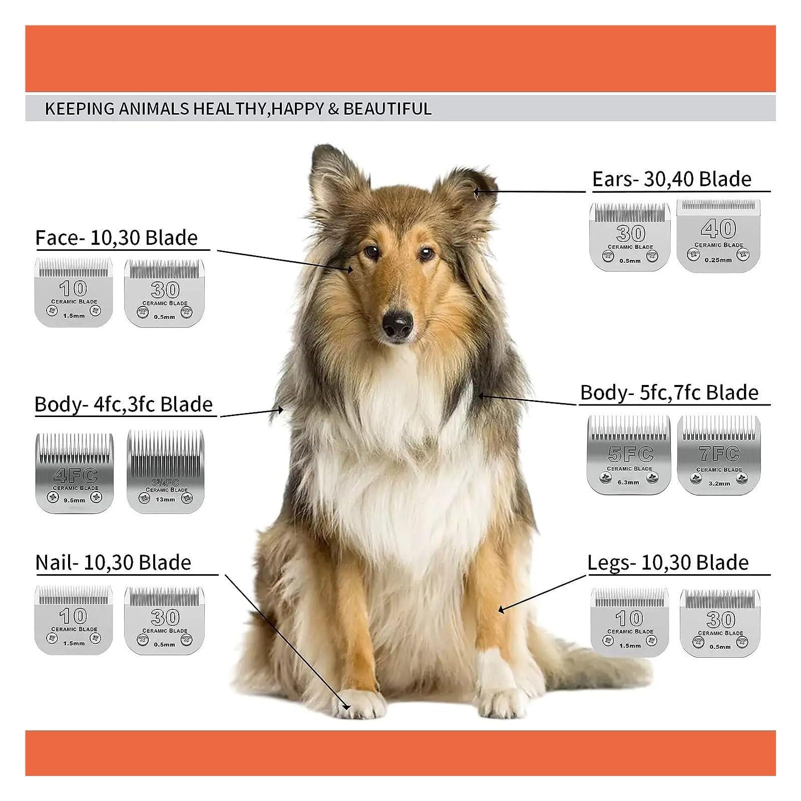 Lame De Tondeuse Amovible A5 For Animaux De Compagnie – Tête De Rechange En Acier Au Carbone Compatible Avec Les Tondeuses Andis, Oster, Wahl KM, Laube, Heiniger Et Thrive(50-0.2mm)