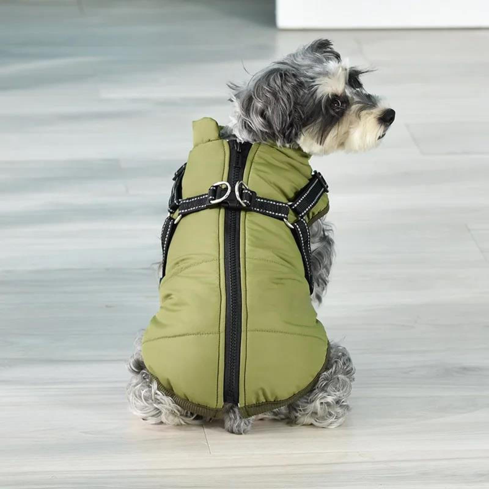 CITÉTOILE Waterdichte hondenjas, warme winterjas winterjassen met fleece voor kleine, grote, middelgrote honden, hondenjas, hondenkleding, hondentrui, hondenjas voor chihuahua teckel, blauw, M