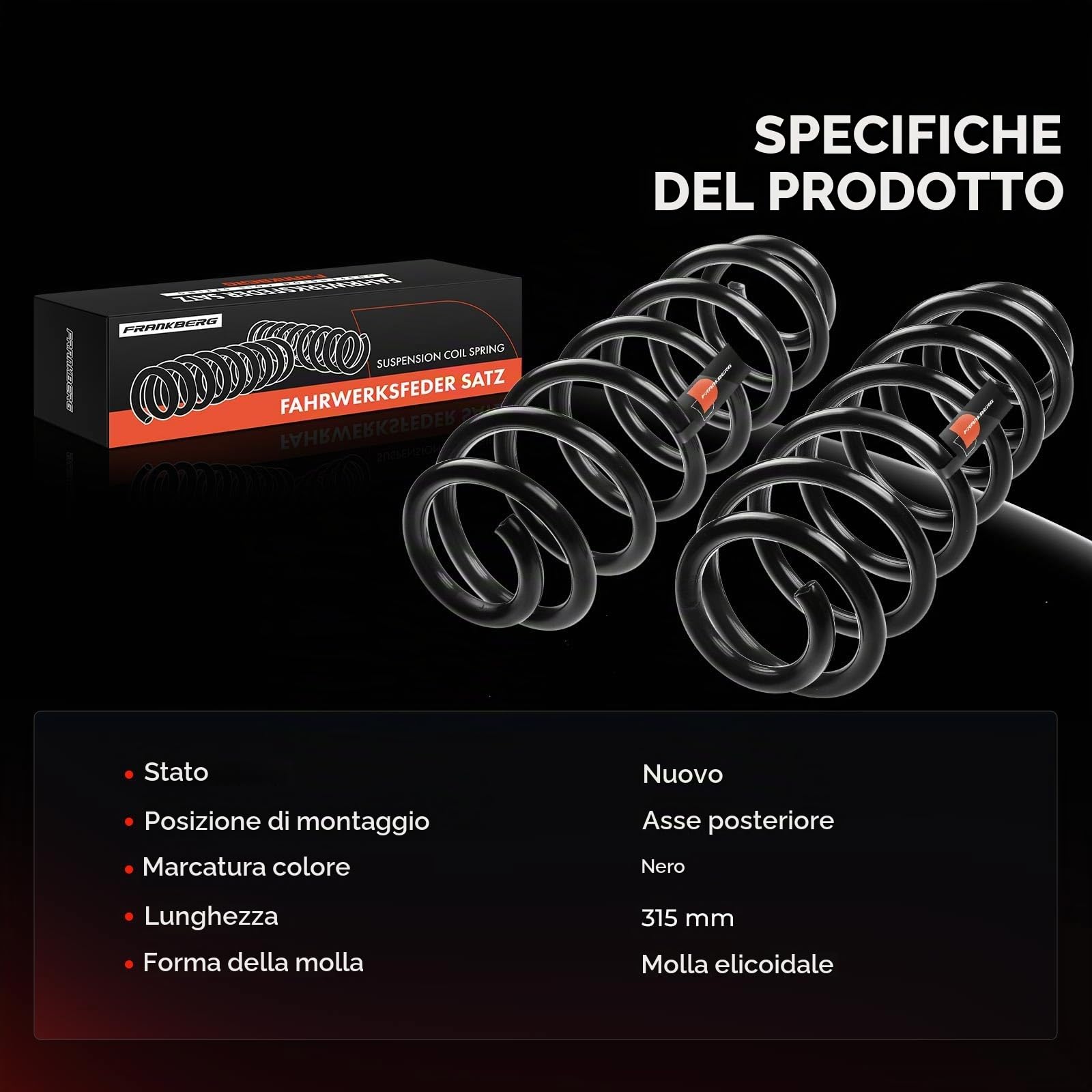 Frankberg 2 molle di sospensione asse posteriore 51780554 | Compatibile con: 169