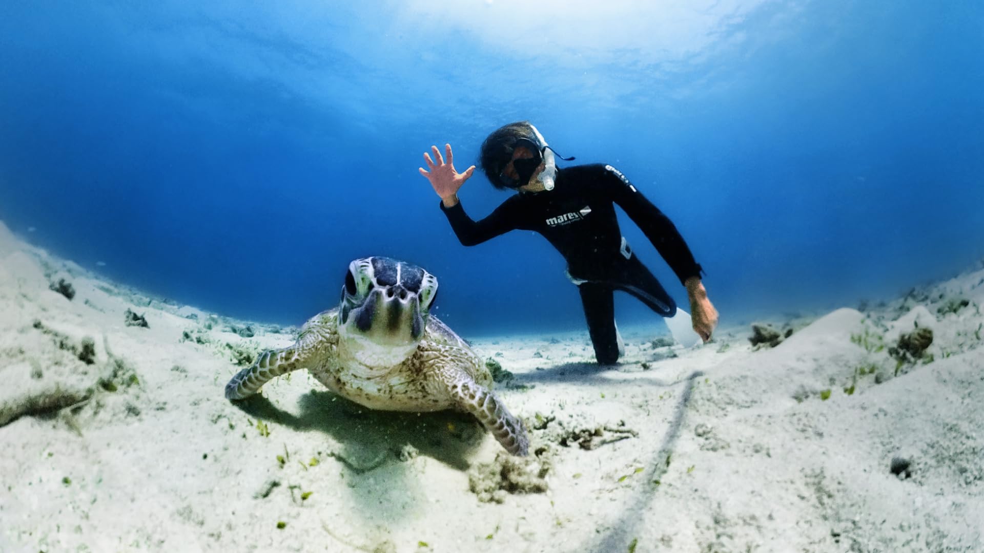 Amazon | Insta360 X3 見えない潜水ケース | アクションカメラ